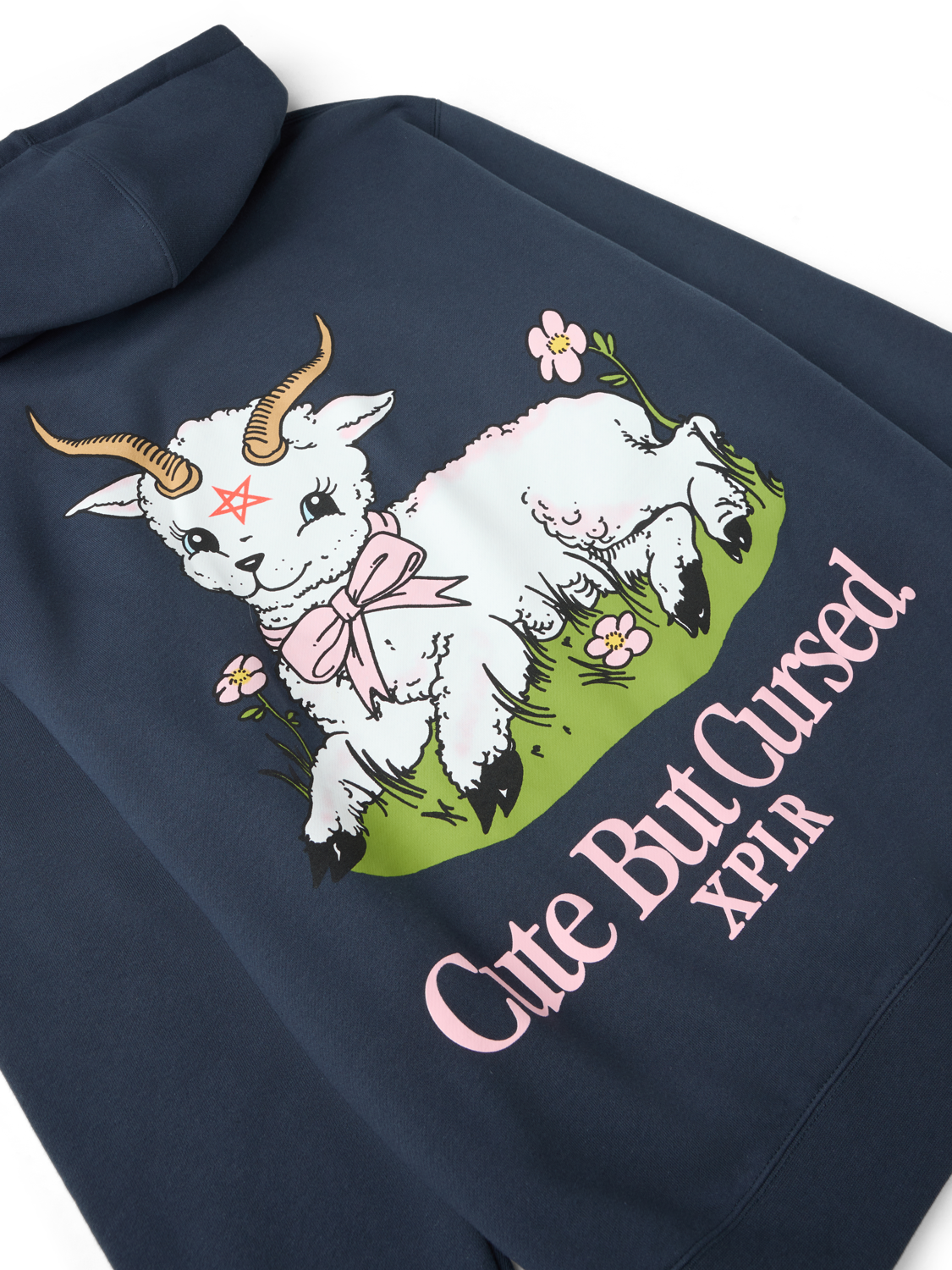 Cute But Cursed Hoodie