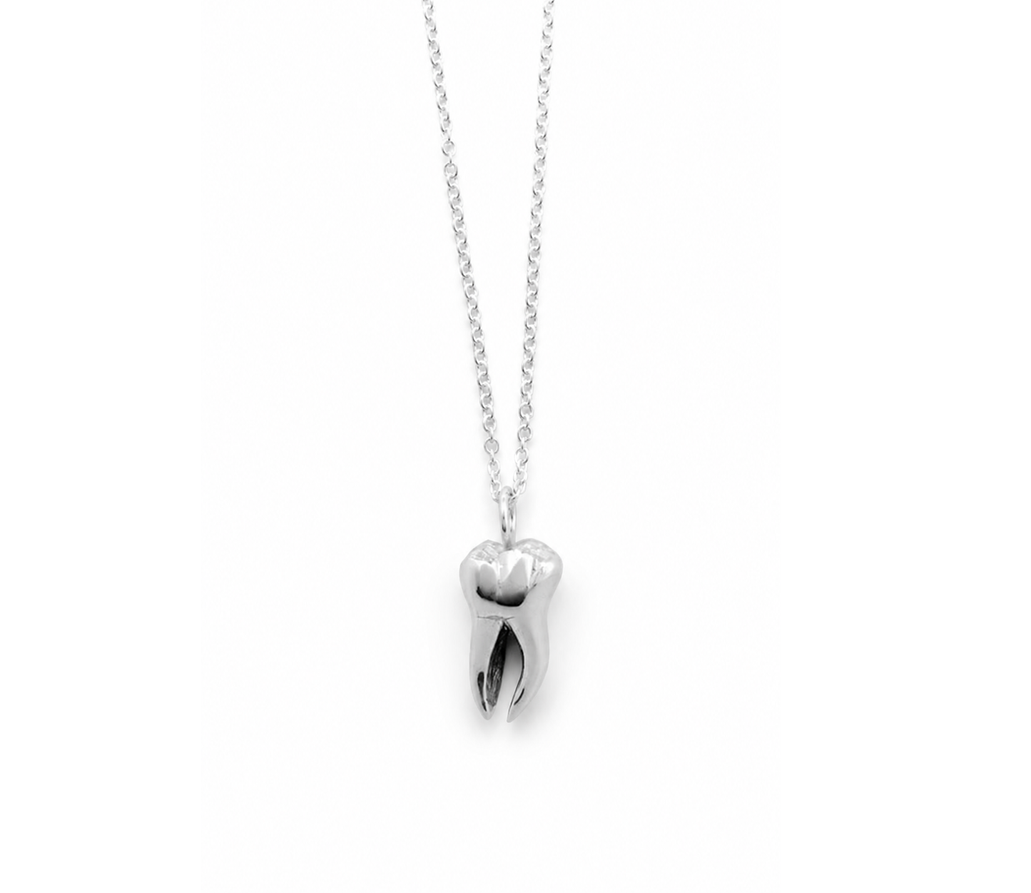 Tiny Tooth Necklace