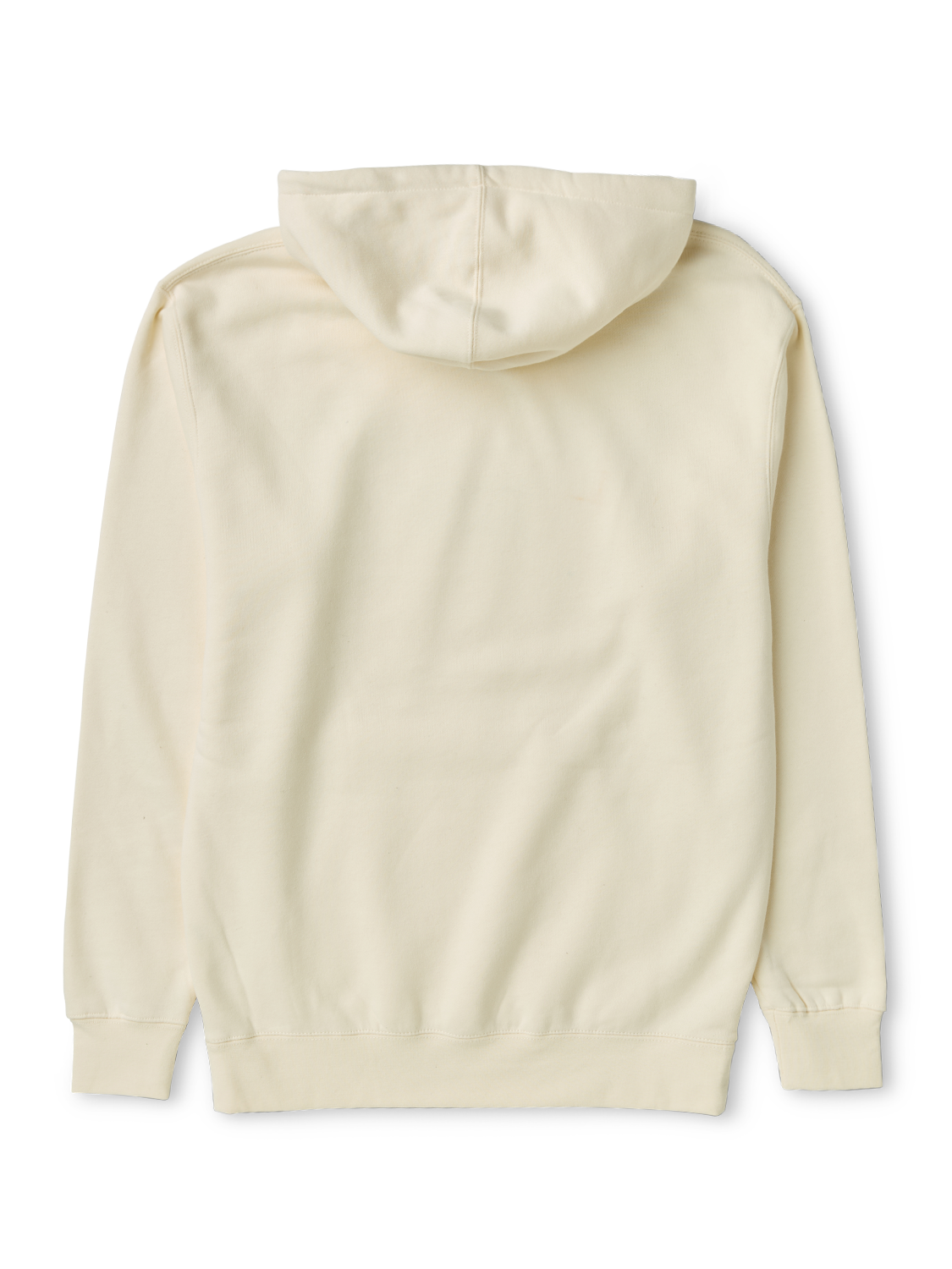 2024 Campaign Hoodie