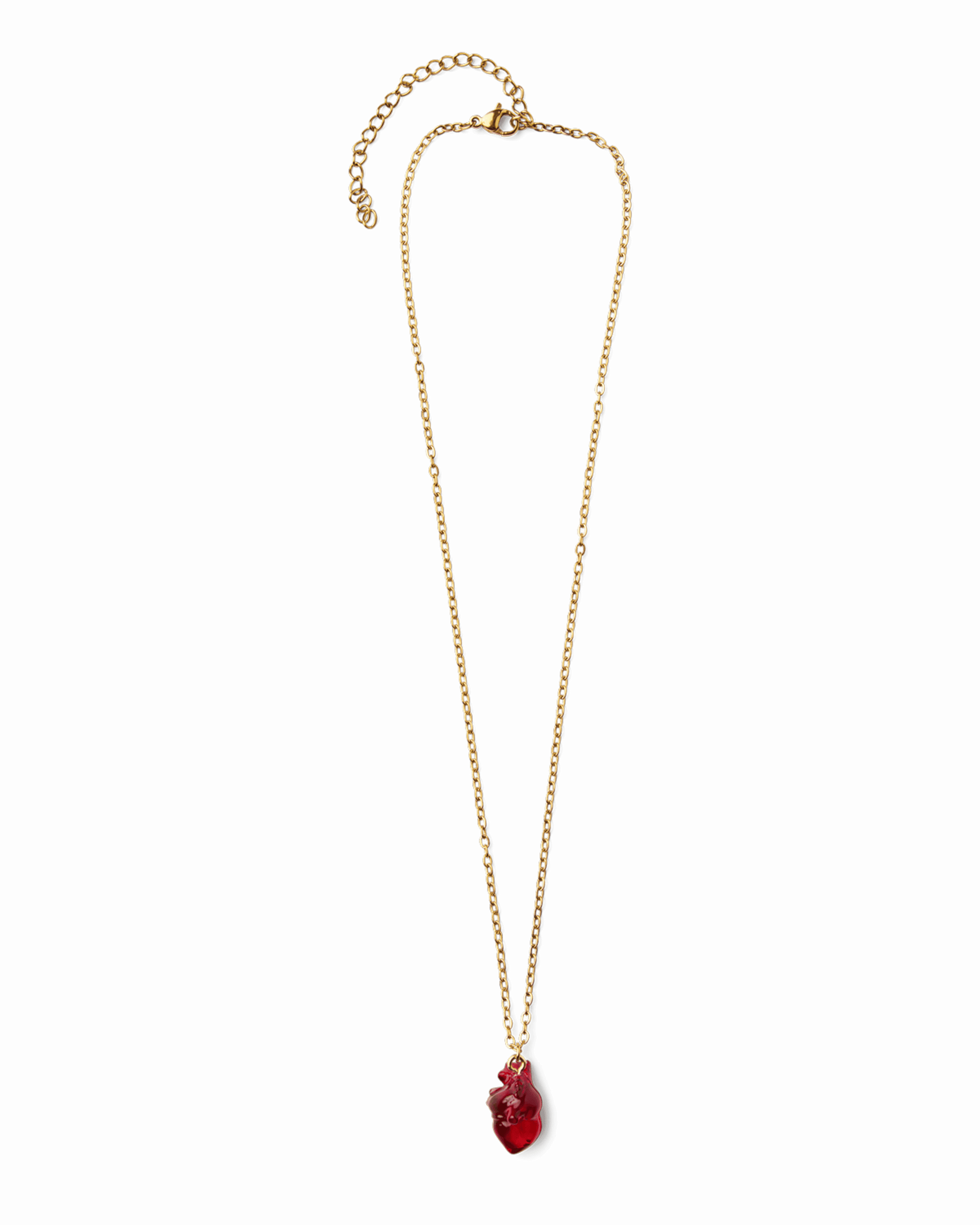 Anatomy necklace