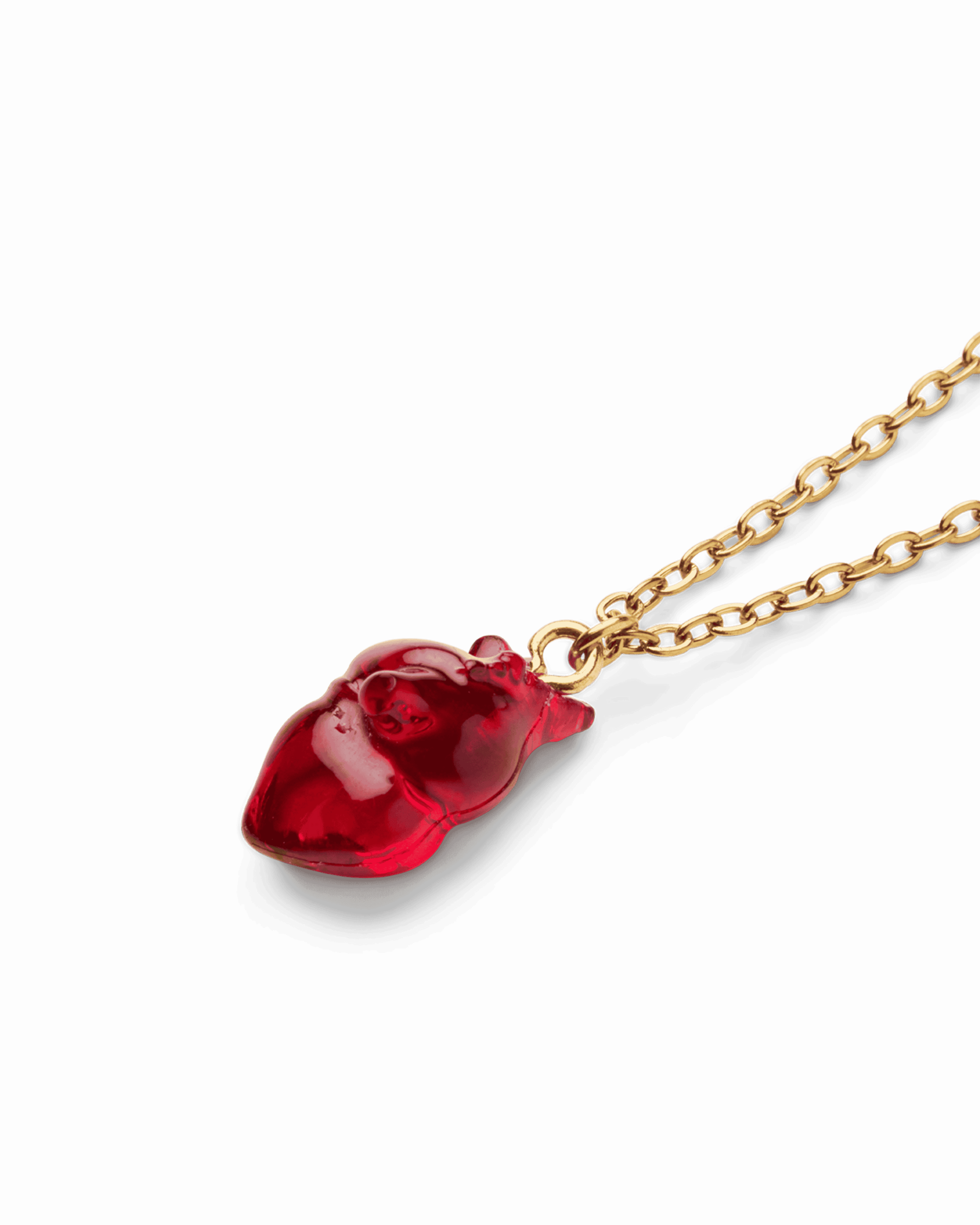 Anatomy necklace